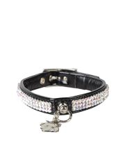PET FOLLIE - Collare