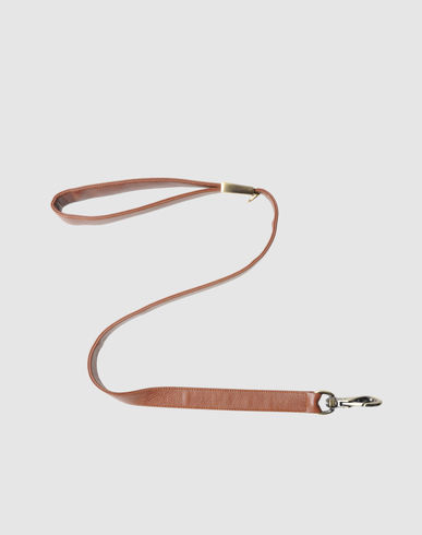 ZOOM PET FOLLIE - Leash