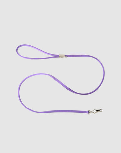 ZOOM PET FOLLIE - Leash