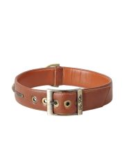 PET FOLLIE - Collare