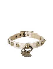 PET FOLLIE - Collare