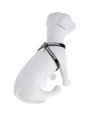 PET FOLLIE - Harness