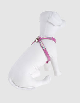 PET FOLLIE - PETS - Pettorine
