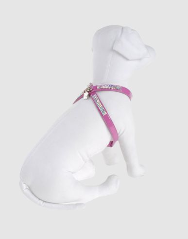 ZOOM PET FOLLIE - Harness
