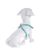 PET FOLLIE - Pettorina