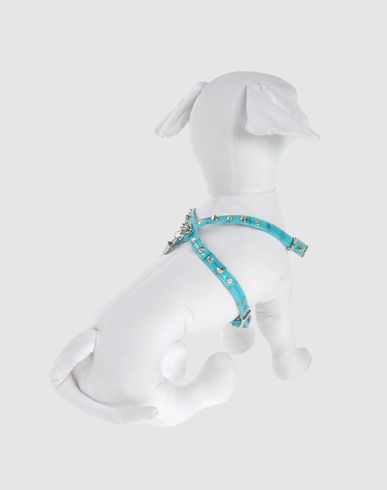 ZOOM PET FOLLIE - Harness