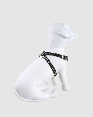 ZOOM PET FOLLIE - Harness