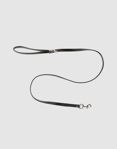 ZOOM PET FOLLIE - Leash