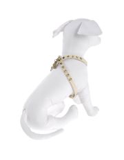 PET FOLLIE - Pettorina
