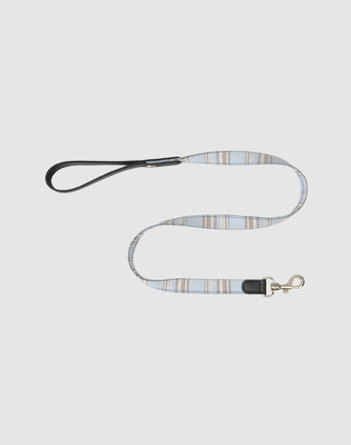 ZOOM LA CINOPELCA - Leash