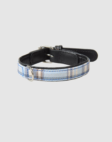 ZOOM LA CINOPELCA - Collar