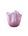 Mauve Mauve