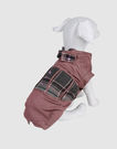 DVS DOG VIP STAR - Coat