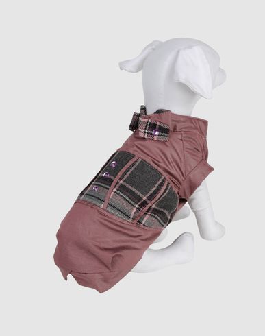 ZOOM DVS DOG VIP STAR - Coat