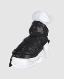 DVS DOG VIP STAR - Coat