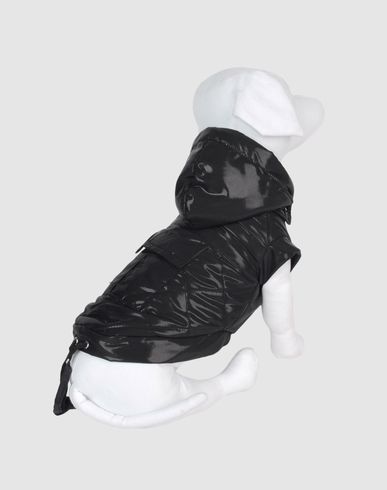 ZOOM DVS DOG VIP STAR - Coat