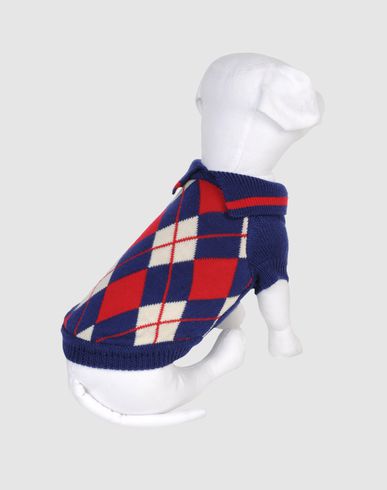 ZOOM DVS DOG VIP STAR - Jumper