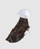 DVS DOG VIP STAR - Cappottino