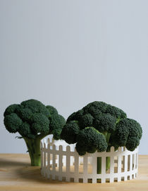 DOMESTIC - Centrepiece