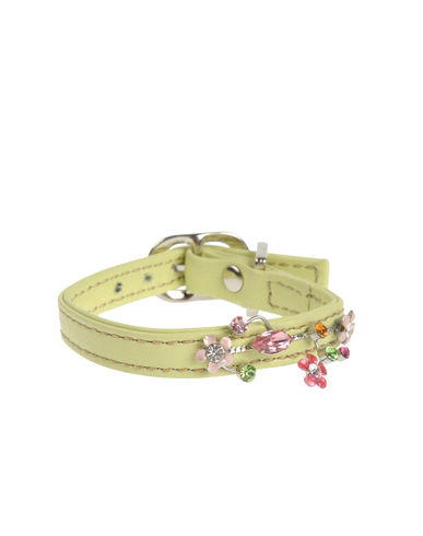 ZOOM DVS DOG VIP STAR - Collar
