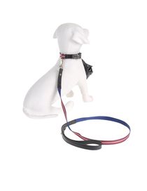 DVS DOG VIP STAR - Harness & Leash Set