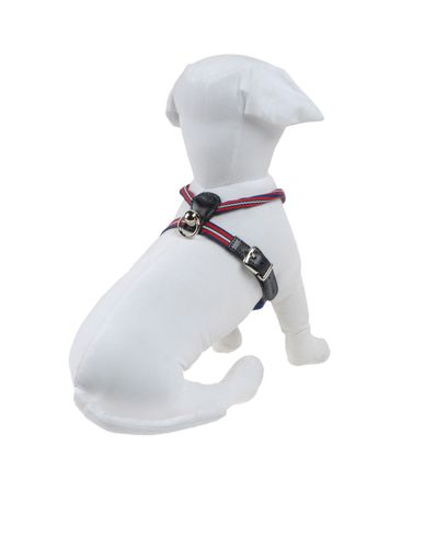 ZOOM DVS DOG VIP STAR - Harness