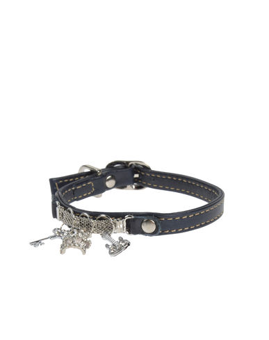 ZOOM DVS DOG VIP STAR - Collar