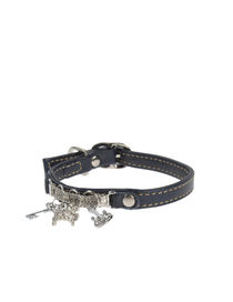 DVS DOG VIP STAR - Collar
