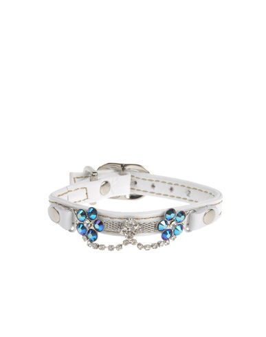 ZOOM DVS DOG VIP STAR - Collar