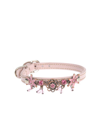 ZOOM DVS DOG VIP STAR - Collar