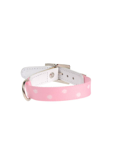 ZOOM DVS DOG VIP STAR - Collar