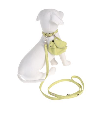 ZOOM DVS DOG VIP STAR - Harness & Leash Set