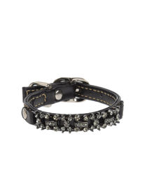 DVS DOG VIP STAR - Collar