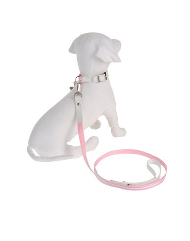 ZOOM DVS DOG VIP STAR - Harness & Leash Set