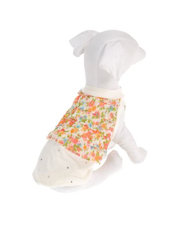 ZOOM DVS DOG VIP STAR - Sweater