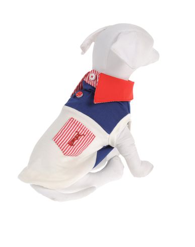 ZOOM DVS DOG VIP STAR - Sweater
