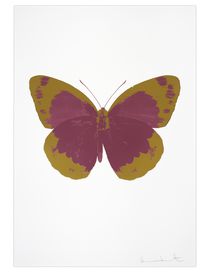 OTHER CRITERIA - Print