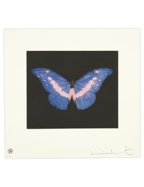 OTHER CRITERIA - Print