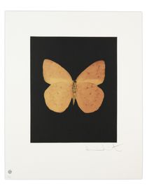 OTHER CRITERIA - Print