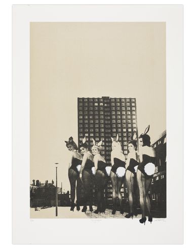 ZOOM PAUL STOLPER GALLERY - Print