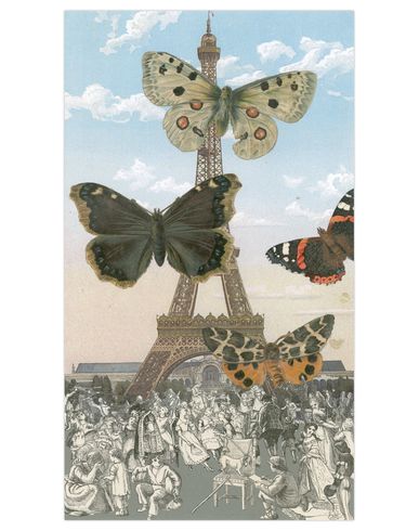 ZOOM PAUL STOLPER GALLERY - Print