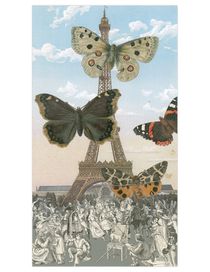 PAUL STOLPER GALLERY - Print