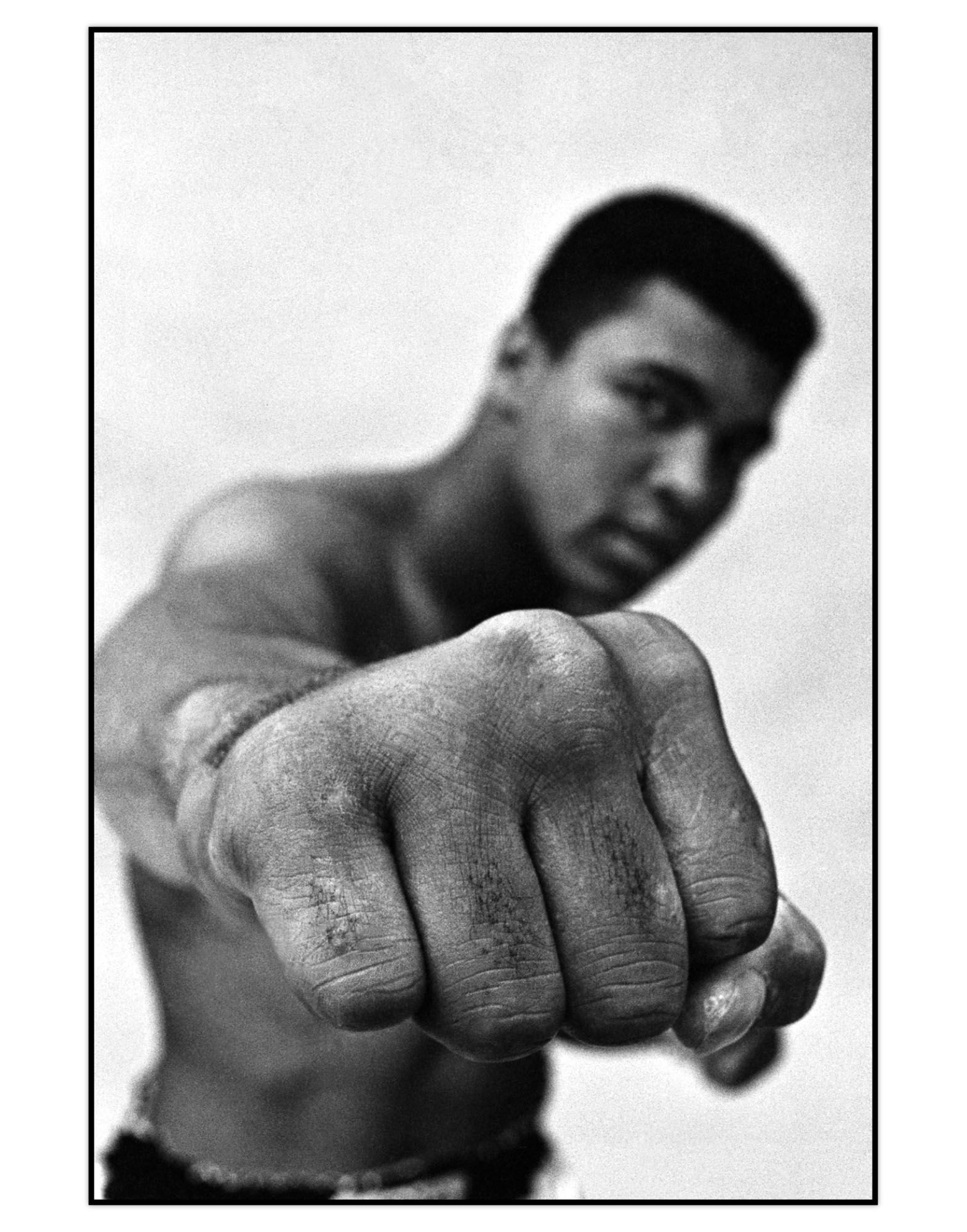 Fotografia Magnum Photos Muhammad Ali Showing Off His Right Fist.   Donna   58009840MV