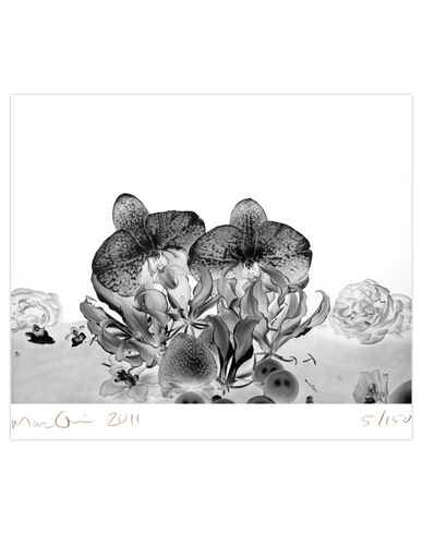 ZOOM MARC QUINN - Print