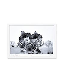 MARC QUINN - Print