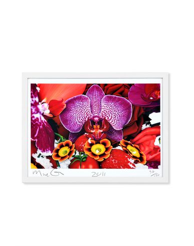 ZOOM MARC QUINN - Print