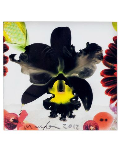 ZOOM MARC QUINN - Print