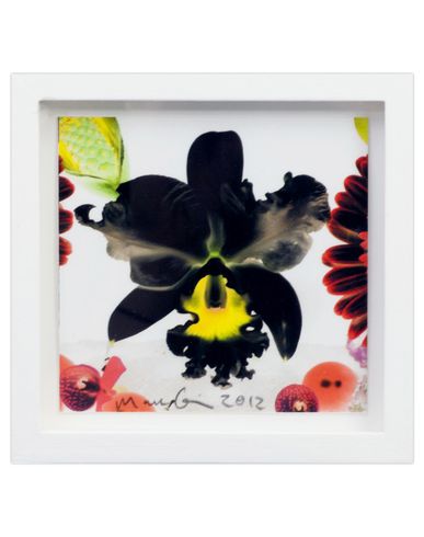 ZOOM MARC QUINN - Print