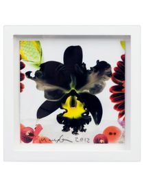 MARC QUINN - Print