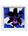 Purple Purple
